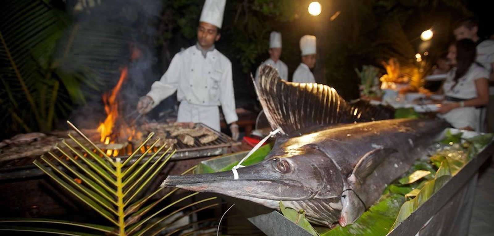 Night Fishing & BBQ Experiences