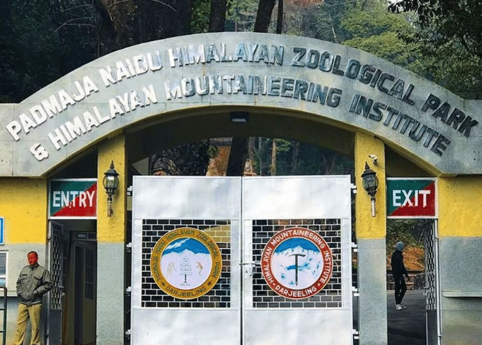 Padmaja Naidu Himalayan Zoological Park